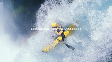 BSPORTS：马德兴评国足三连败，不意外，中印之战将成命运转折点